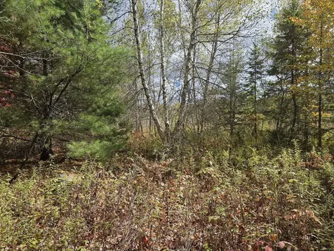 Map R09, Lot 12, Fox Run Drive Mariaville ME 04605