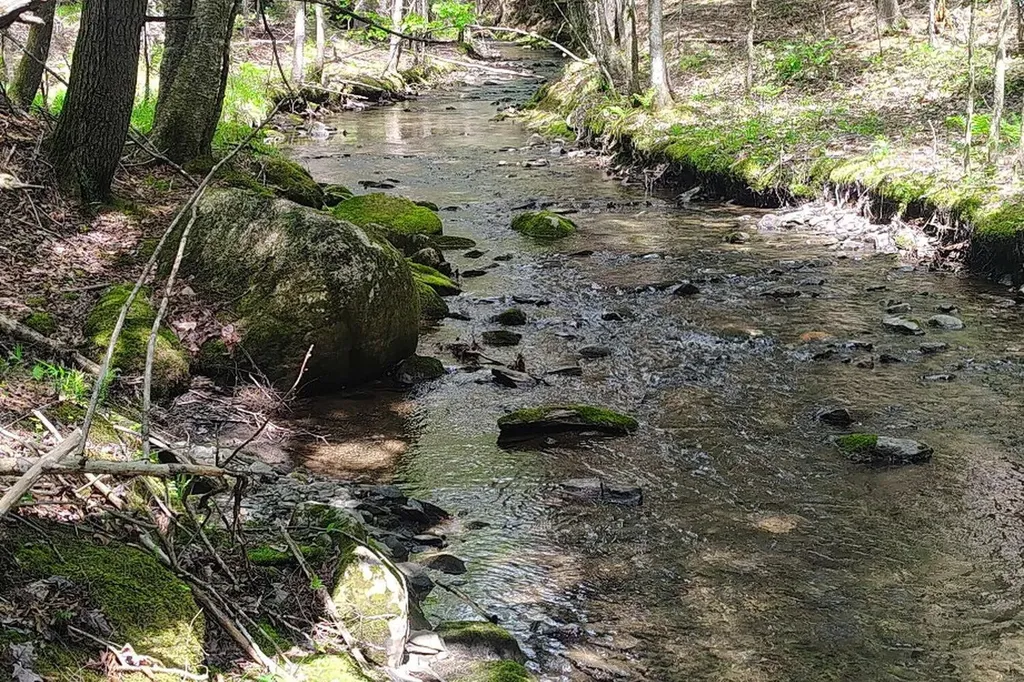 463 Clover Mill Road Farmington ME 04938
