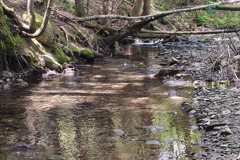 463 Clover Mill Road Farmington ME 04938