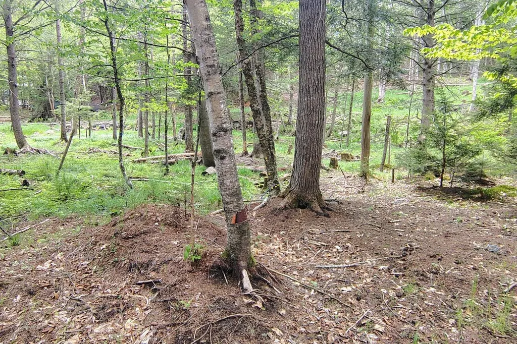 463 Clover Mill Road Farmington ME 04938