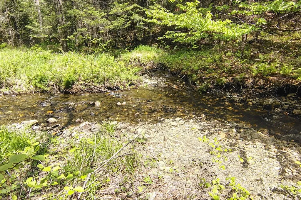 463 Clover Mill Road Farmington ME 04938
