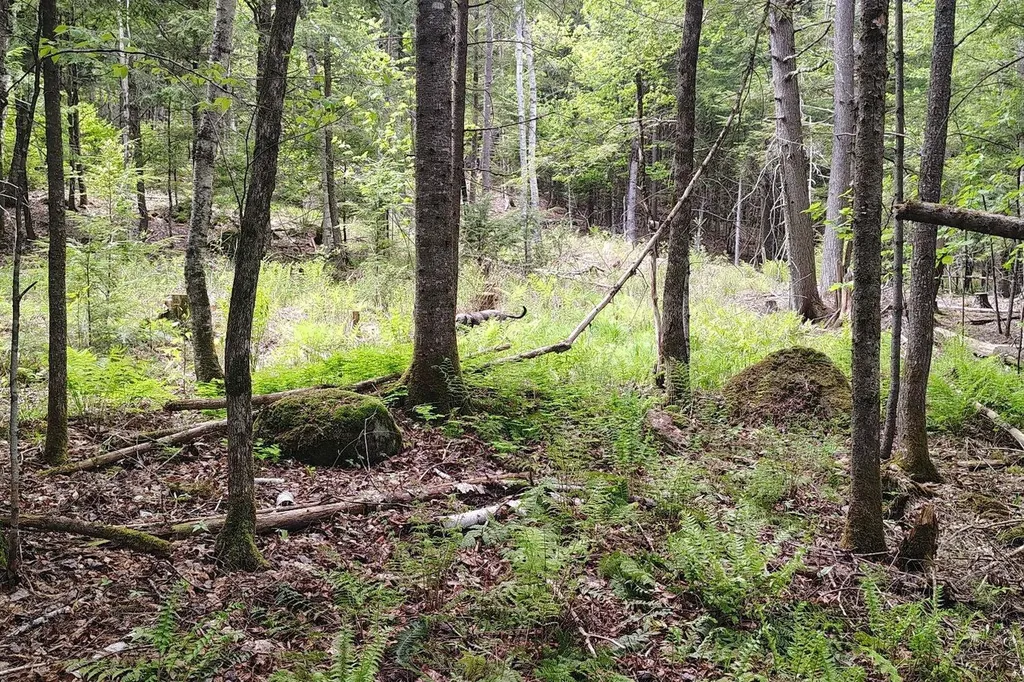 463 Clover Mill Road Farmington ME 04938