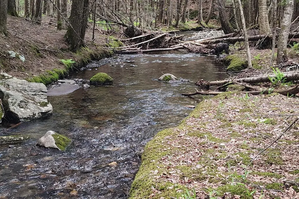 463 Clover Mill Road Farmington ME 04938
