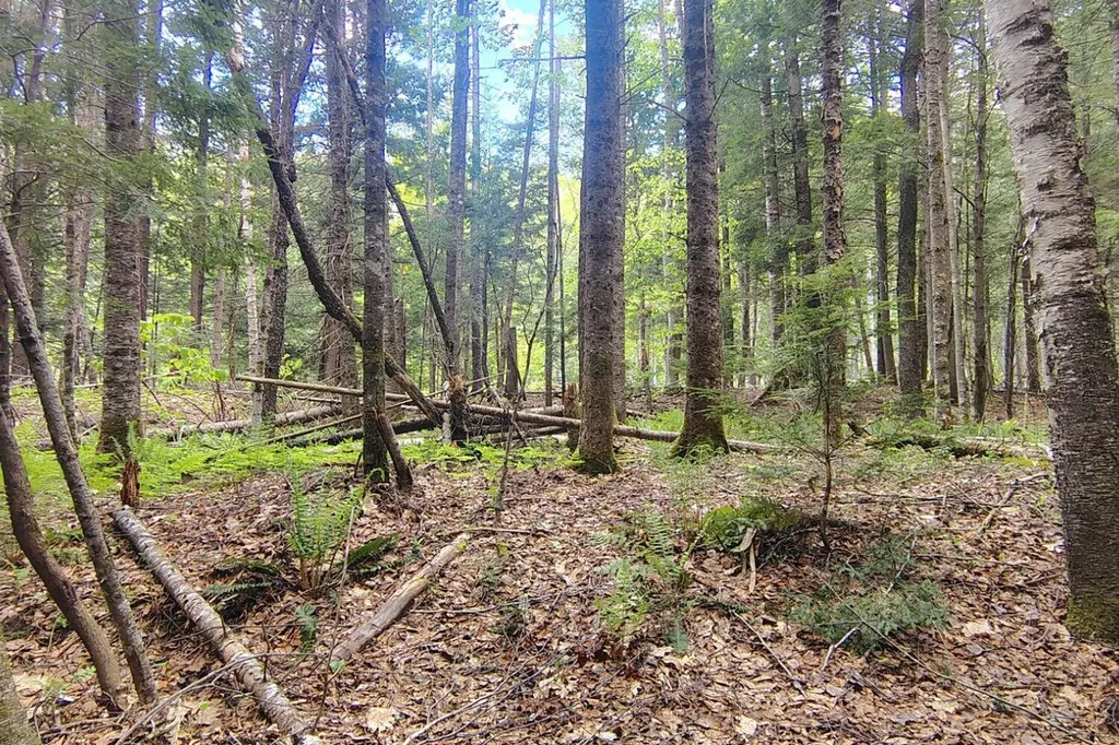463 Clover Mill Road Farmington ME 04938