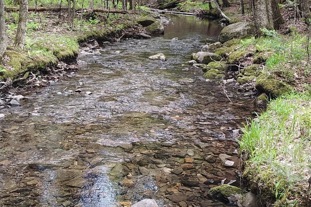 463 Clover Mill Road Farmington ME 04938