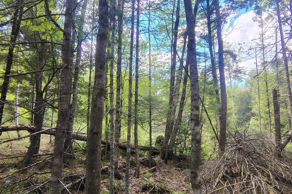 463 Clover Mill Road Farmington ME 04938