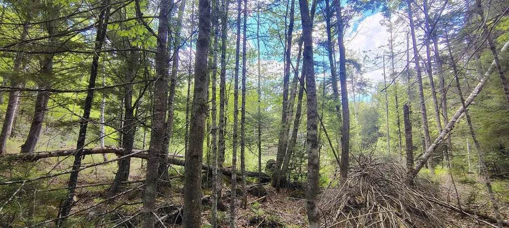 463 Clover Mill Road Farmington ME 04938