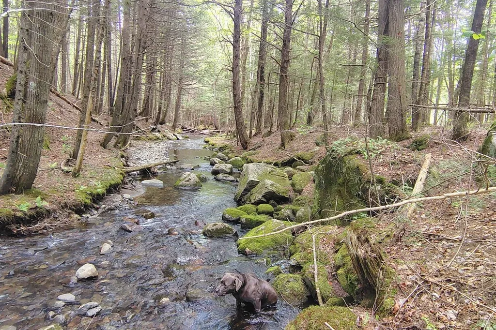 463 Clover Mill Road Farmington ME 04938