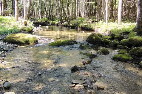 463 Clover Mill Road Farmington ME 04938