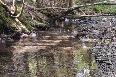 463 Clover Mill Road Farmington ME 04938