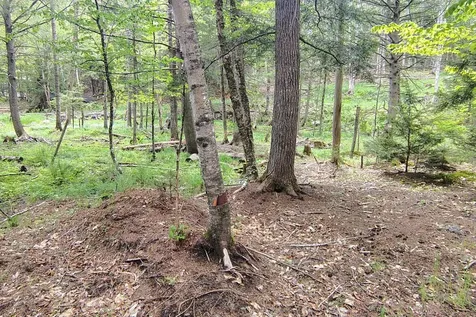 463 Clover Mill Road Farmington ME 04938