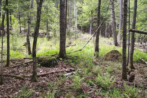 463 Clover Mill Road Farmington ME 04938