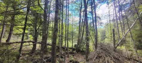 463 Clover Mill Road Farmington ME 04938