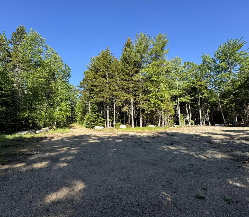 539 Sedgwick Ridge Road Sedgwick ME 04676