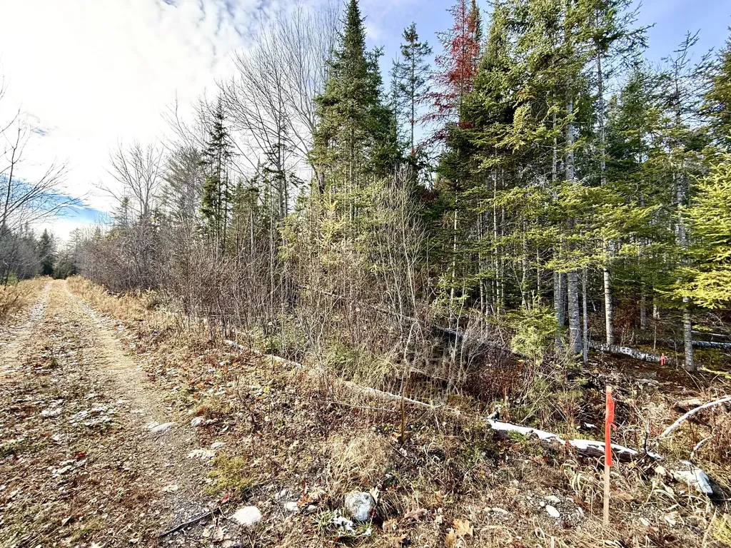 14-2 Hemlock Drive Hudson ME 04449