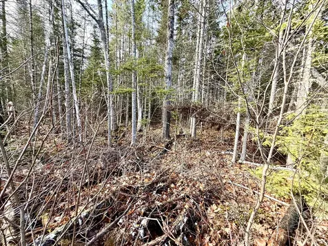 14-2 Hemlock Drive Hudson ME 04449