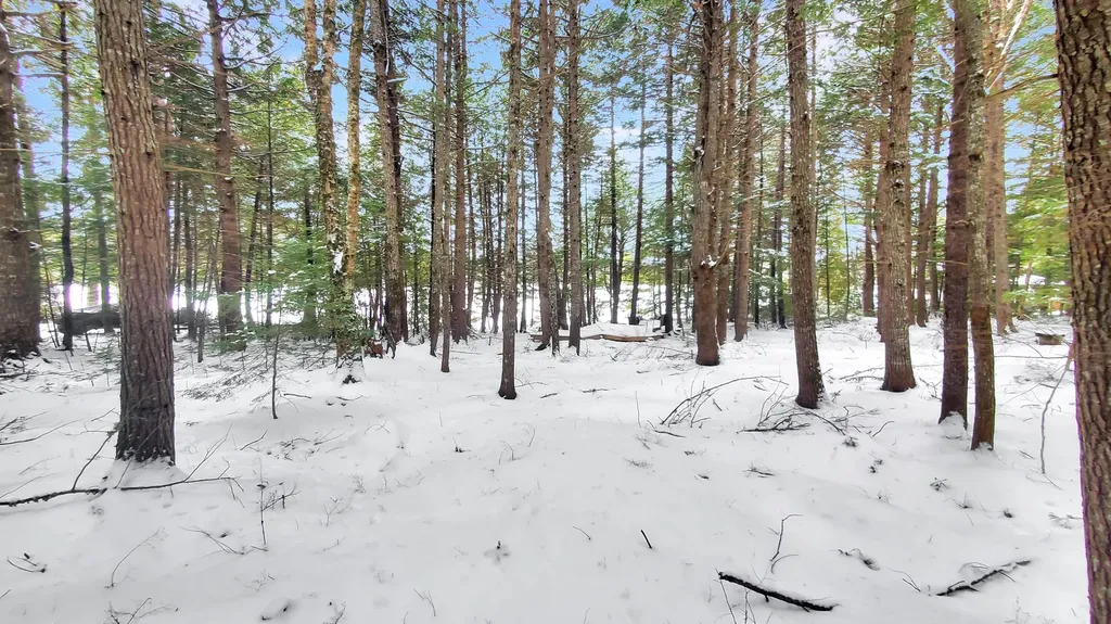 307 Lakeville Shores Road Lakeville ME 04487