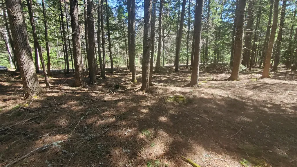 307 Lakeville Shores Road Lakeville ME 04487