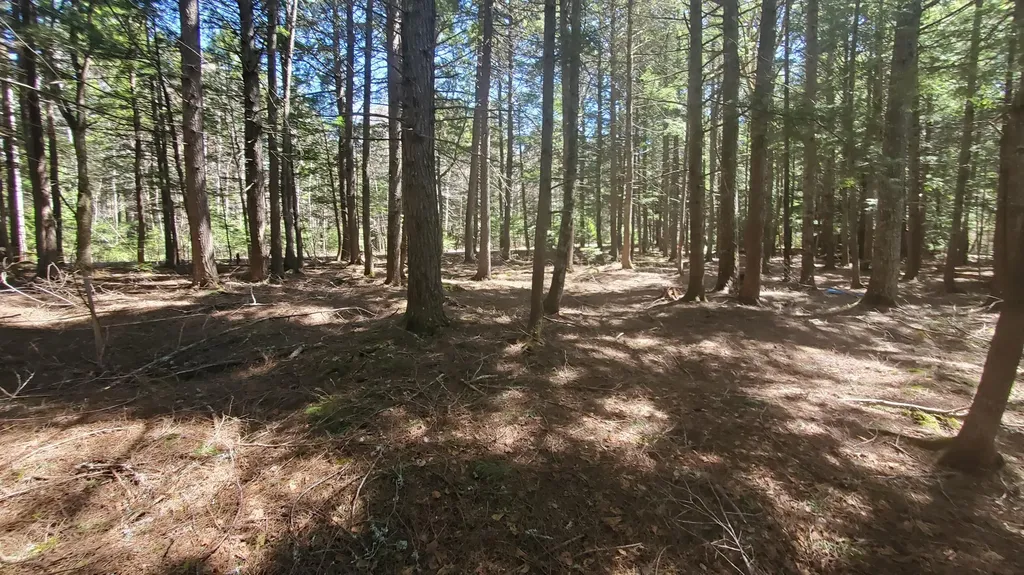 307 Lakeville Shores Road Lakeville ME 04487