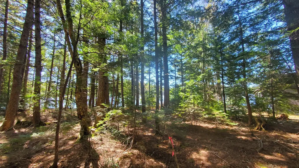 307 Lakeville Shores Road Lakeville ME 04487