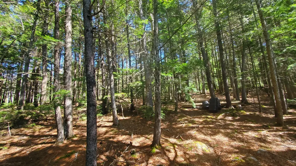 307 Lakeville Shores Road Lakeville ME 04487
