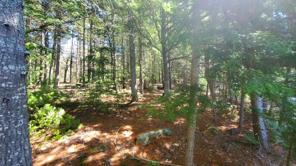 307 Lakeville Shores Road Lakeville ME 04487