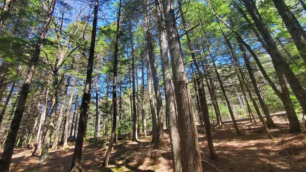 307 Lakeville Shores Road Lakeville ME 04487
