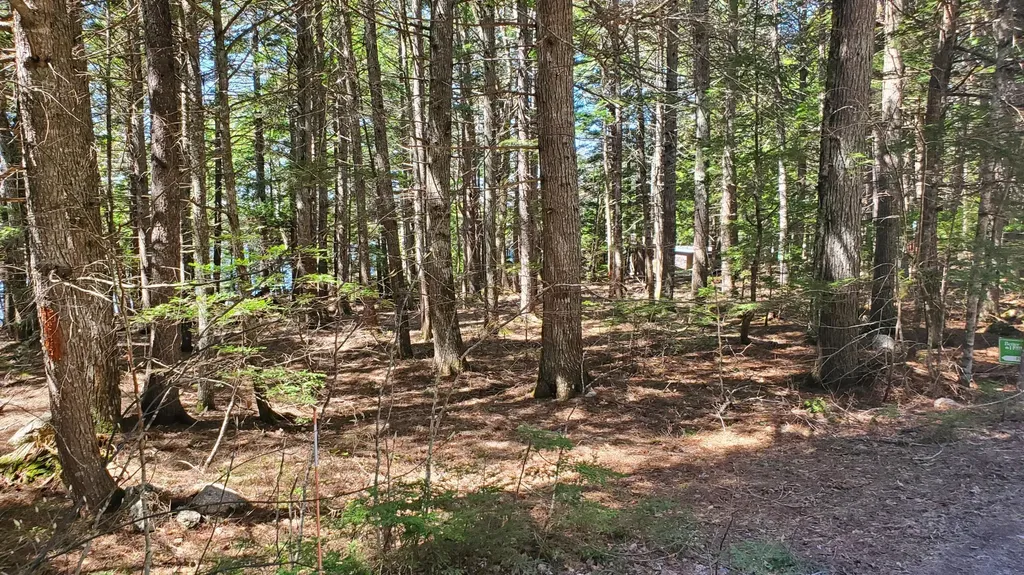 307 Lakeville Shores Road Lakeville ME 04487