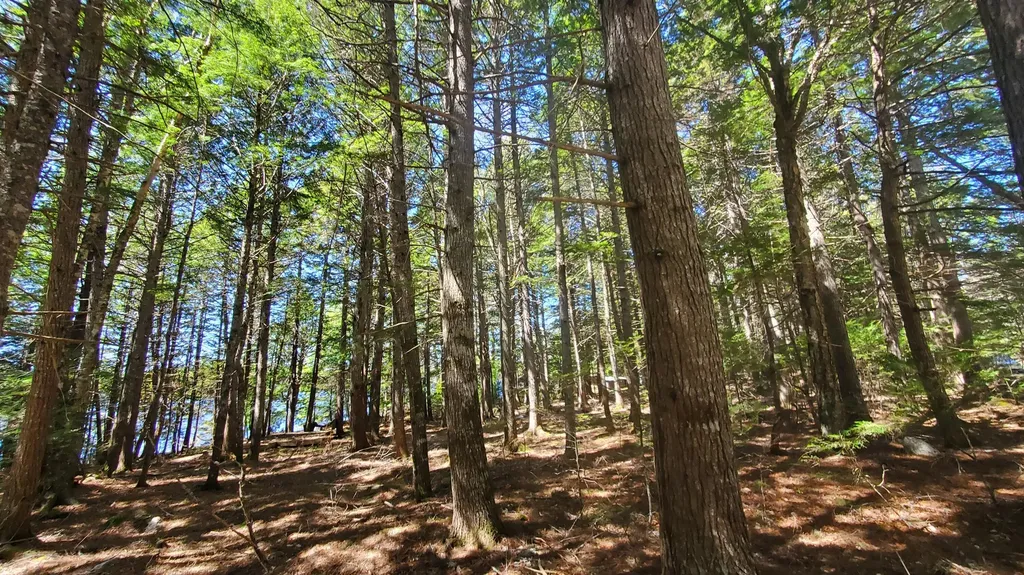 307 Lakeville Shores Road Lakeville ME 04487
