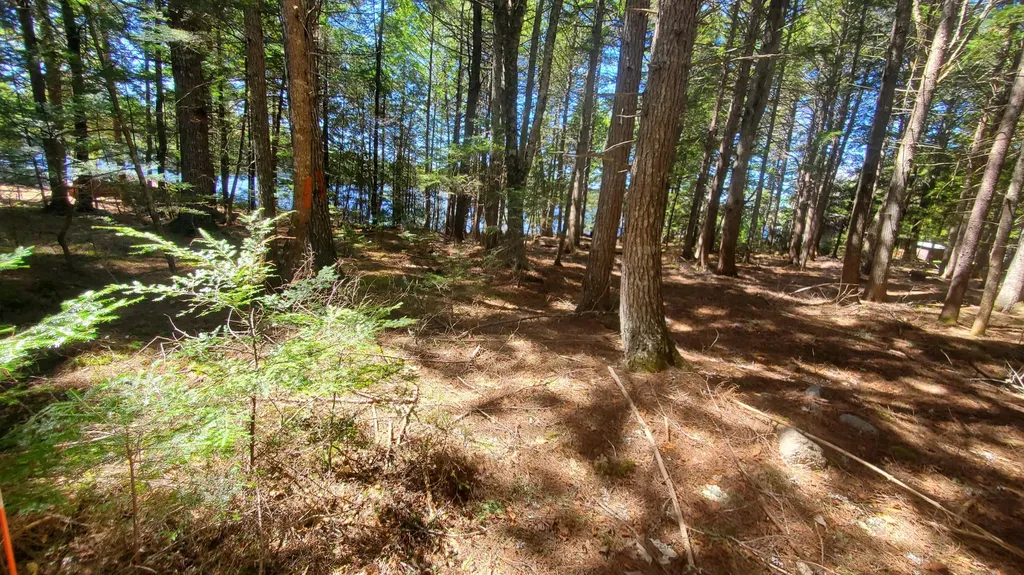 307 Lakeville Shores Road Lakeville ME 04487