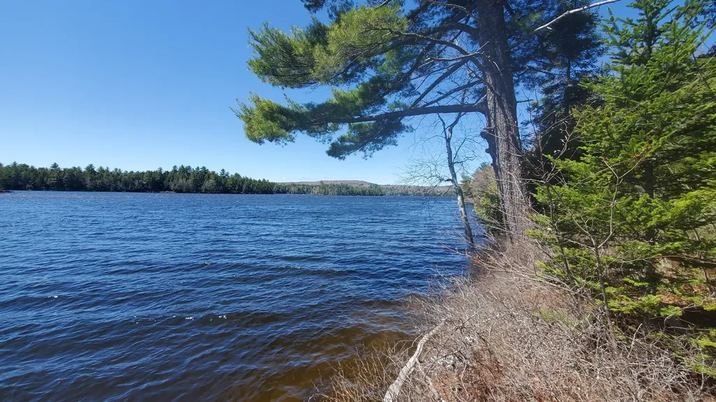 307 Lakeville Shores Road Lakeville ME 04487