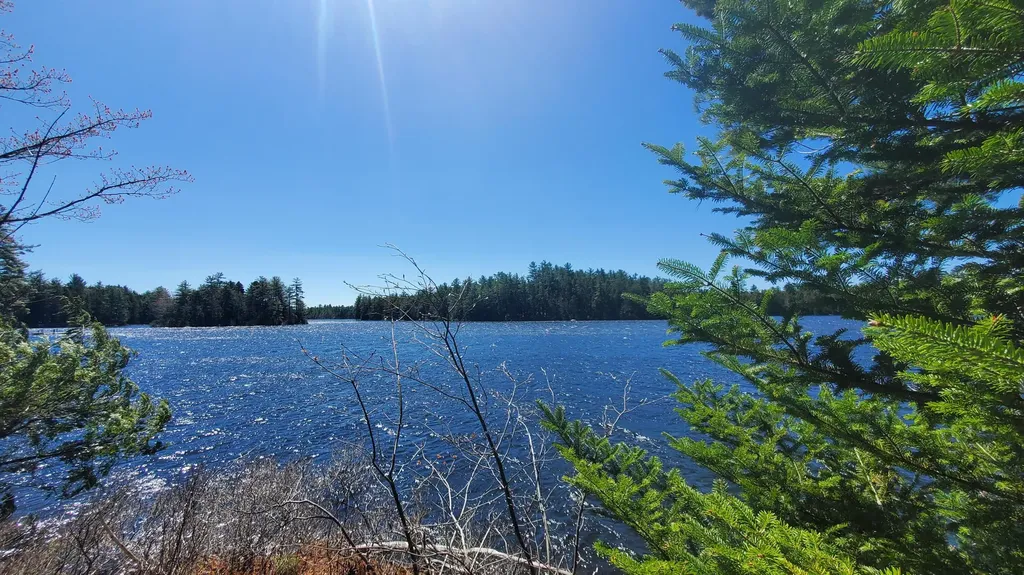 307 Lakeville Shores Road Lakeville ME 04487