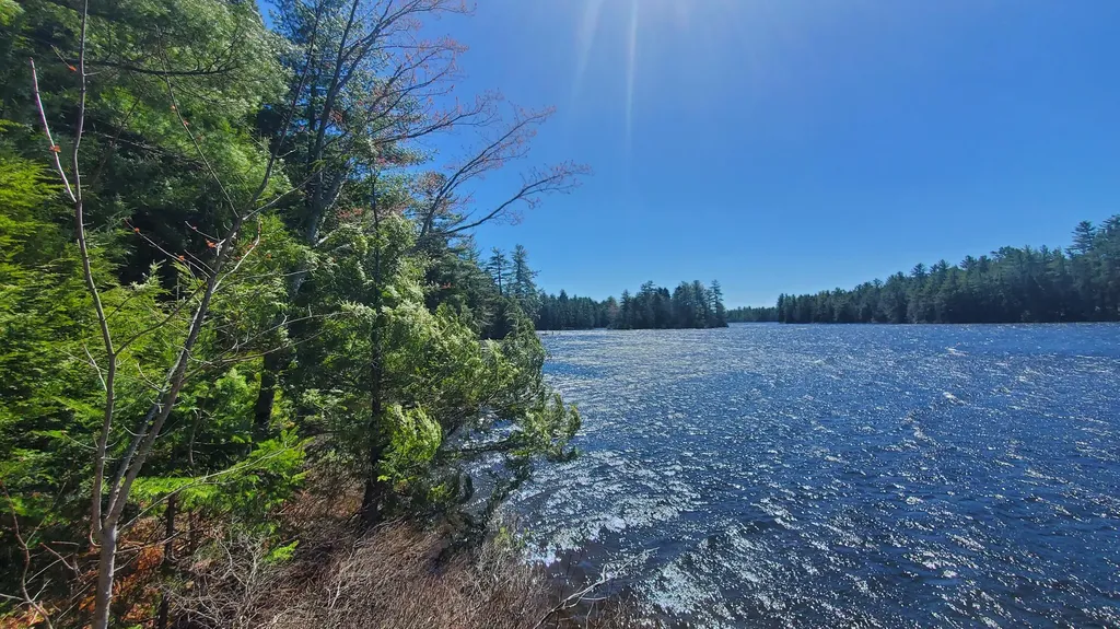 307 Lakeville Shores Road Lakeville ME 04487