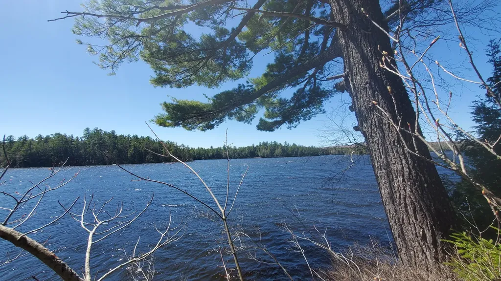 307 Lakeville Shores Road Lakeville ME 04487