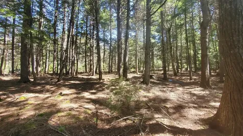 307 Lakeville Shores Road Lakeville ME 04487