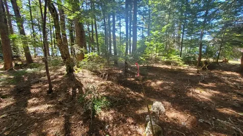 307 Lakeville Shores Road Lakeville ME 04487
