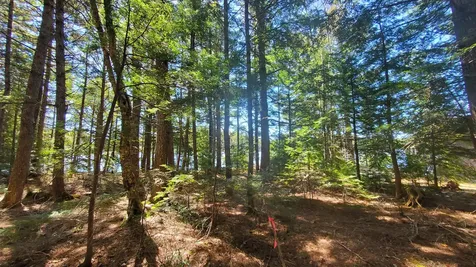 307 Lakeville Shores Road Lakeville ME 04487