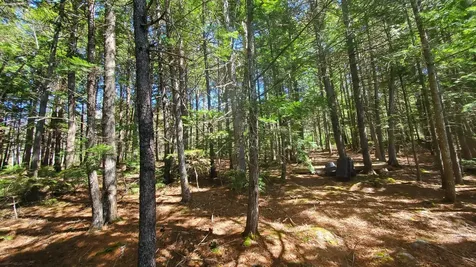 307 Lakeville Shores Road Lakeville ME 04487