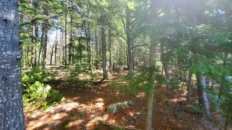307 Lakeville Shores Road Lakeville ME 04487
