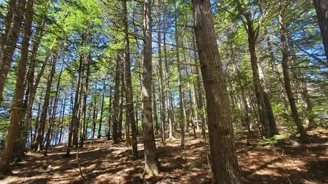 307 Lakeville Shores Road Lakeville ME 04487