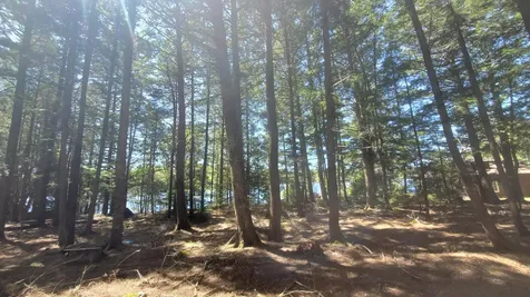 307 Lakeville Shores Road Lakeville ME 04487