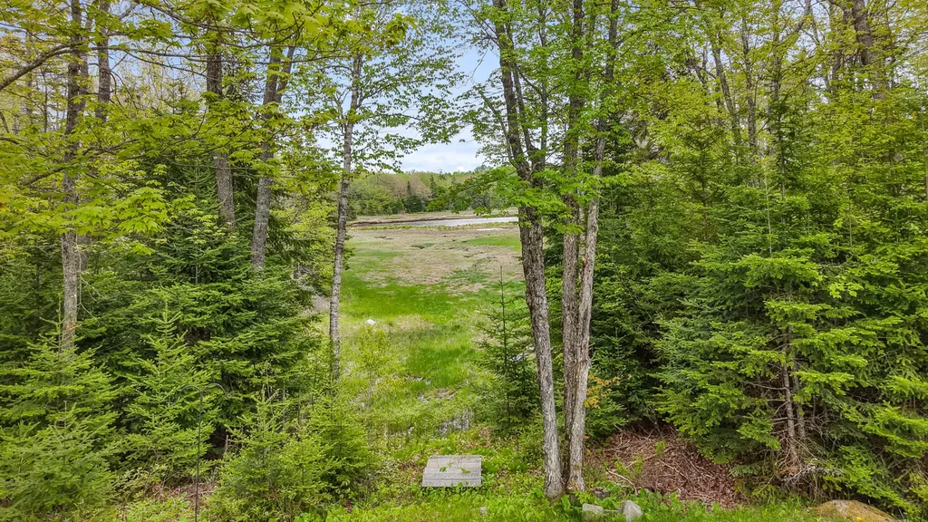 66 Salty Marsh Drive Steuben ME 04680