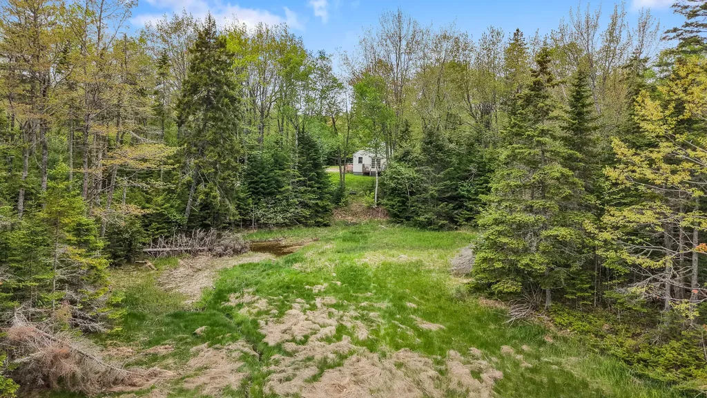 66 Salty Marsh Drive Steuben ME 04680