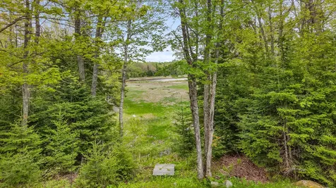 66 Salty Marsh Drive Steuben ME 04680
