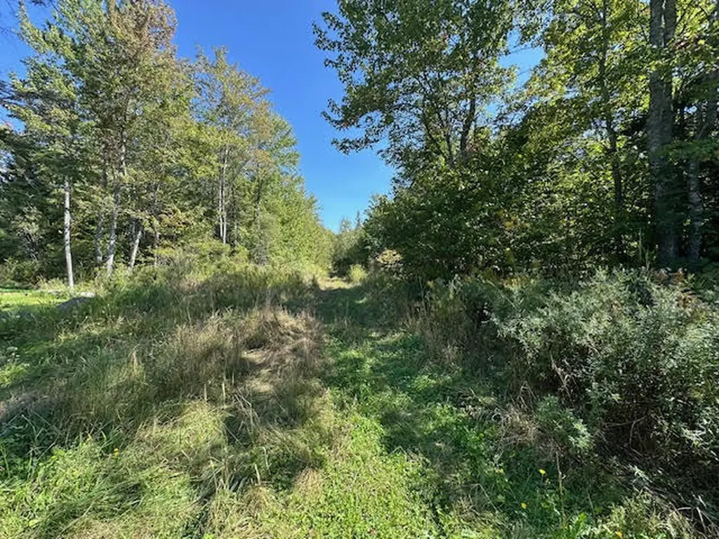 M1L431E-2 Sally Mack Road Frankfort ME 04438