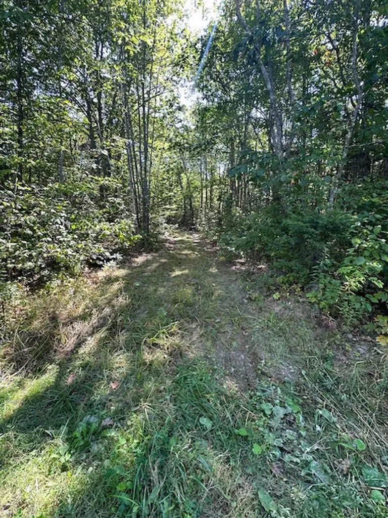 M1L431E-2 Sally Mack Road Frankfort ME 04438