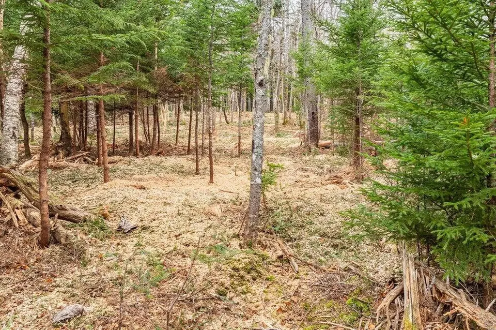11 Quiet Shore Road Steuben ME 04680