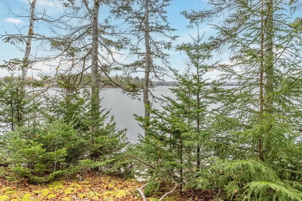 11 Quiet Shore Road Steuben ME 04680