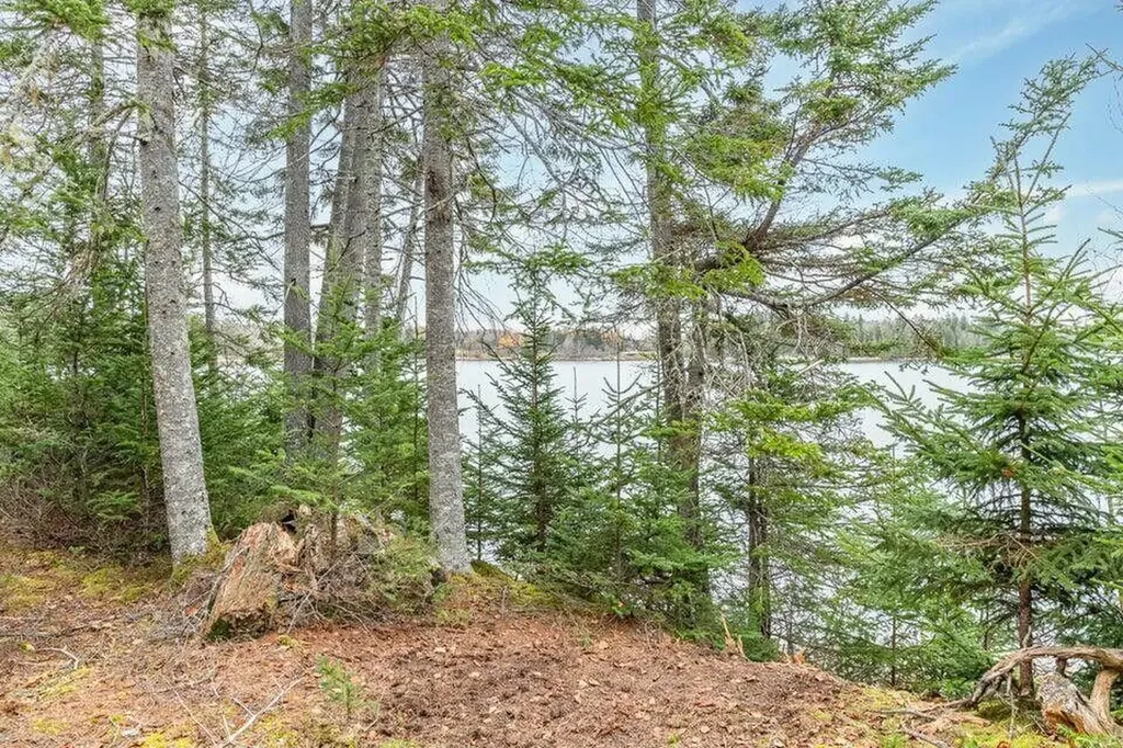 11 Quiet Shore Road Steuben ME 04680