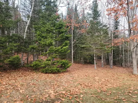 130 Shipyard Road Dennysville ME 04628